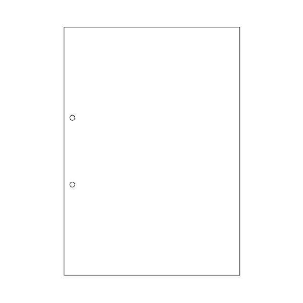 TANOSEE マルチプリンタ帳票（スーパーエコノミー） A4 白紙 2穴 1セット（2500枚：100枚×25冊）