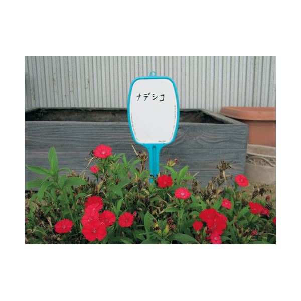 (まとめ) アサノヤ産業 花壇のプレート SA 幅63×厚み5×長さ220mm 【×15セット】
