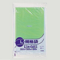 Other - ポリ袋NO.13 100マイ(PE-0313)「単位:フクロ」 　送料込み！