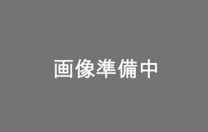 1245246676030540000000 ・広告文責（株式会社ビッグフィールド ・072-997-4317）カテゴリー1：自転車カテゴリー2：自転車パーツ＞ブレーキパーツJAN：4524667603054もし希望購入数が買物かごに入らない場合は、一度、お問合せいただければ幸いでございます。