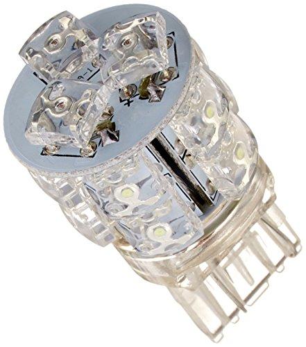 05-08-0039��T20 �����å��б� 12V1.5/0.3W��LED�Х�֡��ơ��������1������ �����ѡ�����/��ȥ륫��(FI�Բ�) ���������ߡ�
