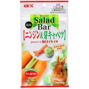 GEX Salada Bar ニンジン＆芽キャベツ 単品