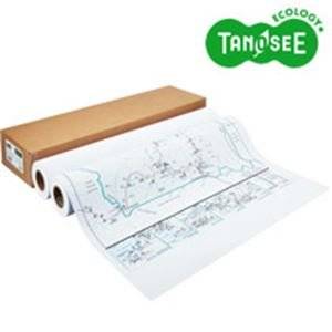 TANOSEE カラー用マットコート紙 841mm×40m 2本入(IJTCG841F) 　送料込み！