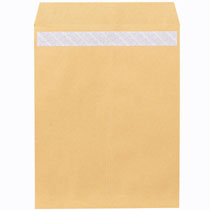 124972923844008 ・広告文責（株式会社ビッグフィールド ・072-997-4317）カテゴリー1：封筒・はがき・レターカテゴリー2：封筒＞ビジネス封筒JAN：4972923844008. ： ノート・ふせん・紙製品 封筒 クラフト封筒 ? もっと見るもし希望購入数が買物かごに入らない場合は、一度、お問合せいただければ幸いでございます。