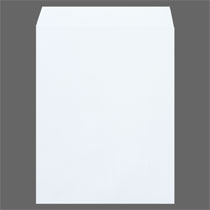 124972923677606000000 ・広告文責（株式会社ビッグフィールド ・072-997-4317）カテゴリー1：エクステリアカテゴリー2：エクステリア＞ウォールデコJAN：4972923677606もし希望購入数が買物かごに入らない場合は、一度、お問合せいただければ幸いでございます。