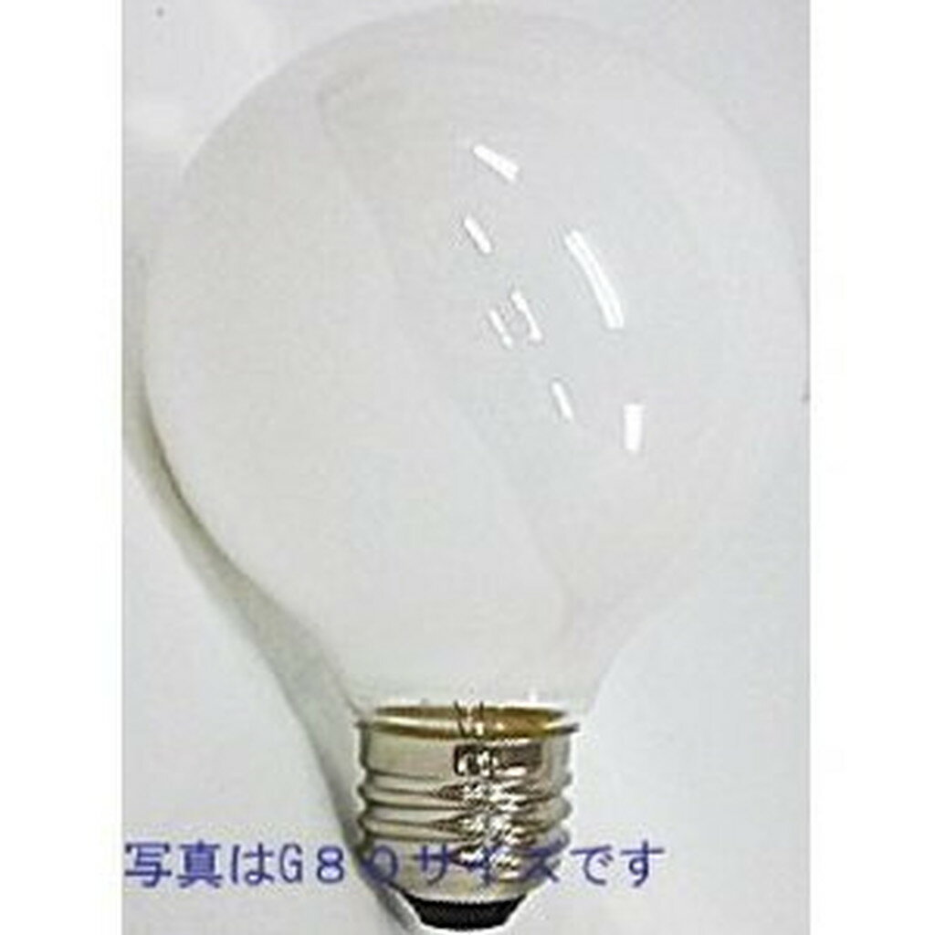 �����ܡ���� G70 GW110V-60W