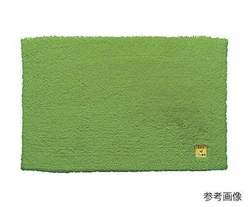 乾度良好Ag+バスマット　グリーン　600×900mm 1枚