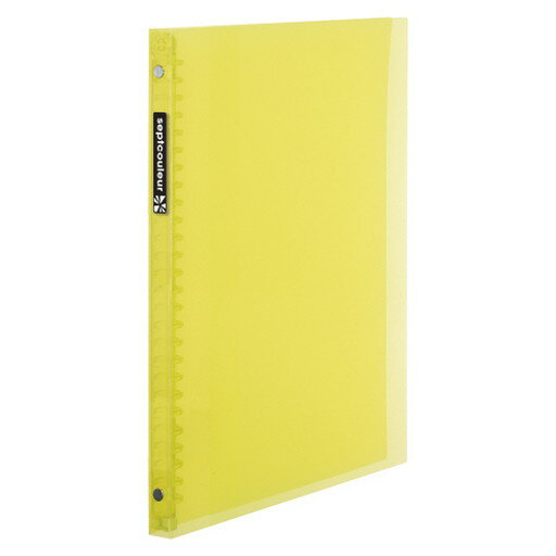 ���ץȥ��롼��ե�����Ρ���B5����(F007B-04) ���������ߡ�