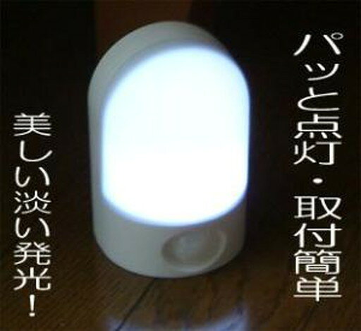 LED赤外線センサーライト　OSC-10T 　送料込み！