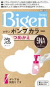 ビゲンポンプカラー つめかえ 5NA 深いナチュラリーブラウン 【 ホーユー 】 【 ヘアカラー・白髪用 】 【単品】送料込! (北海道・沖縄・離島は別途送料)