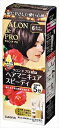 サロンドプロ ヘアマニキュア・スピーディ(白髪用)6<ダークブラウン> 1個【 ダリヤ 】 【単品】送料込! (北海道・沖縄・離島は別途送料)