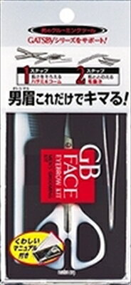 GB メンズ アイブローキット 【 マンダム 】 【 化粧品 】 【単品】送料込！ （北海道・沖縄・離島は別途送料）