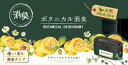 ボタニカル消臭ゲル クラシックシトラス 【 オカモト産業 】 【 芳香剤・部屋用 】 【単品】送料込! (北海道・沖縄・離島は別途送料)