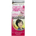 レディーストップシェード パウダーヘア ダークブラウン 20g 【単品】 送料込み!(北海道・沖縄・離島は別途送料)(4)
