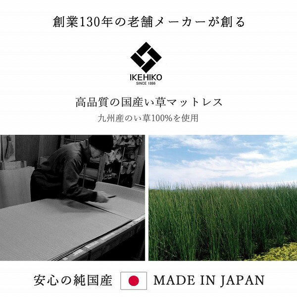 い草 マットレス 3つ折り セミシングル 約80×210cm ブラウン 日本製 国産 抗菌 防...