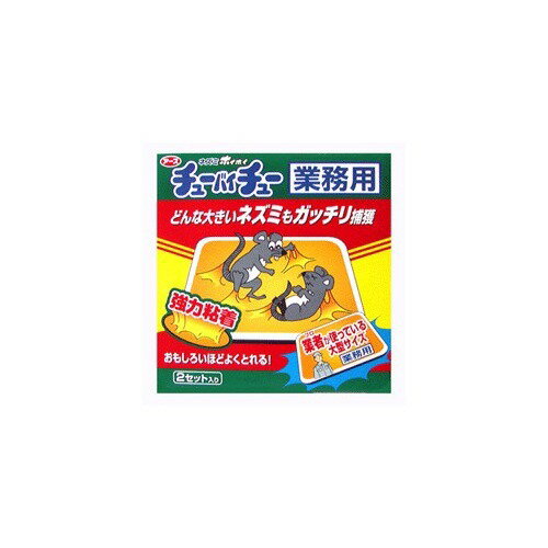 ͤꥷ ͥߥۥۥ 塼Х塼 ̳ Ƚ Ǵ奷 (2å)ڥͥߥۥۥ