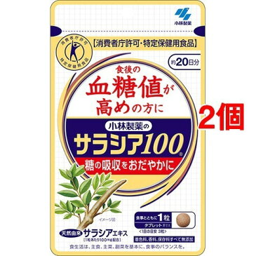 【送料込！】小林製薬のサラシア100 60粒*2コセット 【※送料込の価格です。】 【小林製薬の栄養補助食品】【血糖値が気になる方へ】