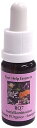 エッセンス RQ7(レスキューレメディ)(15ml)【コルテPHI】(4)