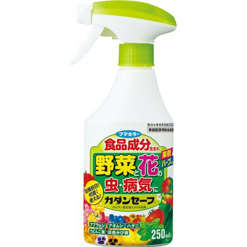 フマキラー カダンセーフ(250ml)【カダン】