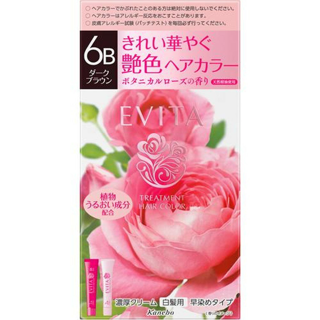 エビータ トリートメントヘアカラー6B ダークブラウン(医薬部外品)(45g+45g)【kane07】【ka9o】【EVITA(エビータ)】