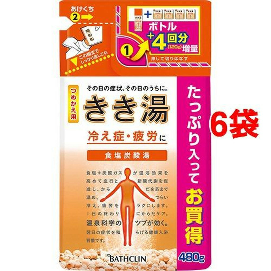 きき湯 食塩炭酸湯 つめかえ用(480g*6袋セット)【きき湯】