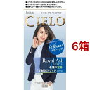 シエロ デザイニングカラー ロイヤルアッシュ(6箱セット)【シエロ(CIELO)】