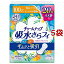 チャームナップ 吸水さらフィ 多くても安心用 羽なし 100cc 29cm(20枚入*5袋セット)【チャームナップ】