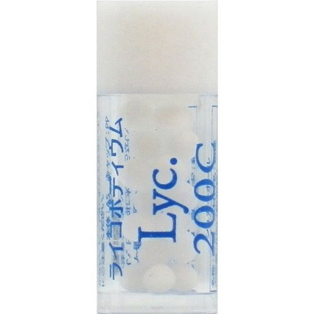 ۥᥪѥѥǥ 36åå (21)饤ݥǥ200Cӥ(30γ)ڥۥᥪѥѥ