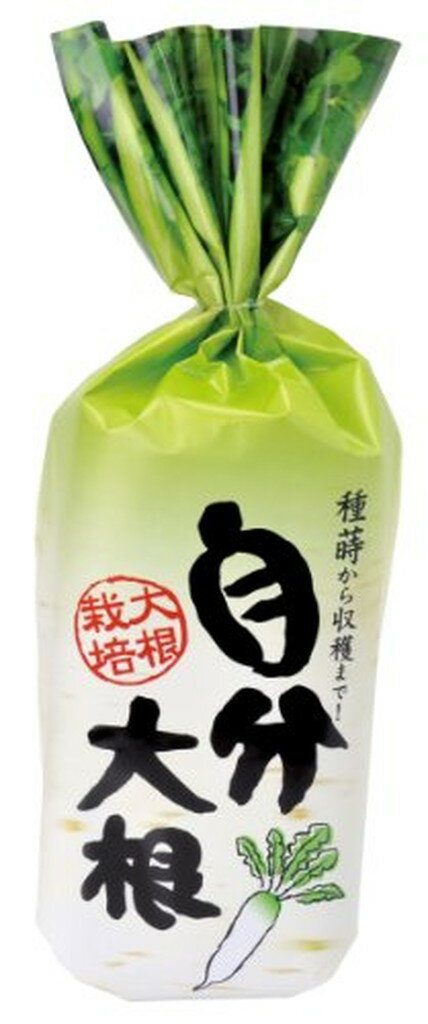 ʬ纬(1)
