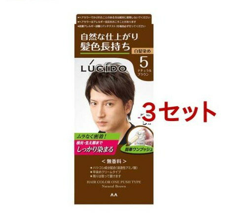 ルシード ワンプッシュケアカラー 5 ナチュラルブラウン(50g+50g*3セット)【ルシード(LUCIDO)】