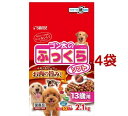 SR ゴン太のふっくらソフト 13歳以上用(2.1kg*4袋セット)【ゴン太】