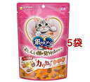 銀のスプーン おいしい顔が見られるおやつ カリカリシーフード(60g*5袋セット)【d_ginnospoon】【1909_pf03】【銀のスプーン】