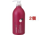 TN A~m _[WyA փVv[(1000ml*2Zbg)yTN(SALON LINK)z