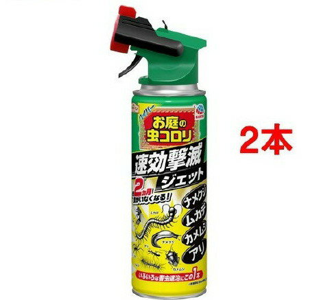 アースガーデン ハイパーお庭の虫コロリ 速効撃滅ジェット(480ml*2本セット)【アースガーデン】