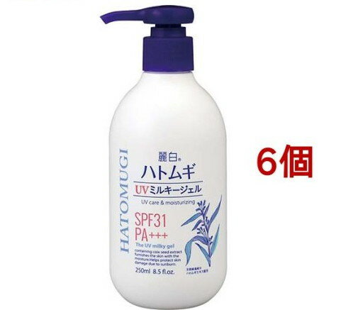  ϥȥ८UVߥ륭(250ml*6ĥå)