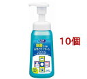 ペットキレイ 除菌できるふきとりフォーム 本体(250ml*10個セット)【ペットキレイ】