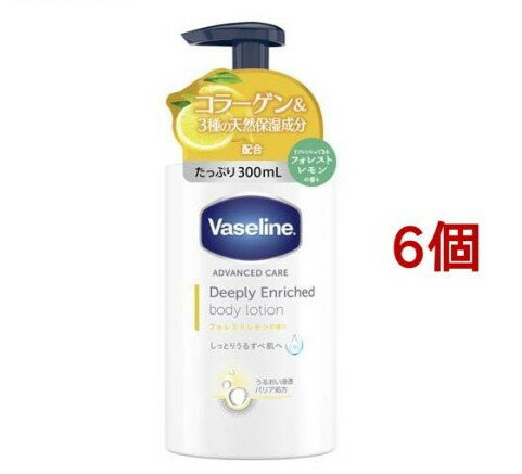  ǥץ꡼ å ܥǥ ե쥹ȥ(300ml*6ĥå)ڥ(Vaseline)