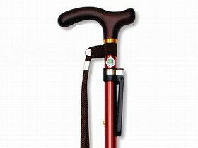 �ġ��ȥ󥹥ƥå���10�ʳ�Ĵ������ԥ���/��å�/�������/- �ޥå����ե����ȥ꡼ 251RGT