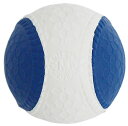 サクライ貿易 SAKURAI 野球・ソフトボール PROMARK 変化球回転チェックボール　M号 ホワイト() BB-960M
