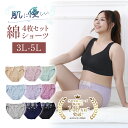 綿混 ショーツ 大きめ 4枚 選べる 3L 4L 5L コットン 送料無料 大きいサイズ レディース スタンダードショーツ 95% 女性 レース 可愛い スタン...
