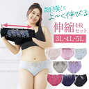 ストレッチ ショーツ 4枚 福袋 3L 4L 5L 快適 大きい 縦横によく伸びる 送料無料 ナイロン スタンダード レディース 女性 パンティー パンティ パ...