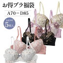 【10%OFFクーポン配布中】 お得ブラ福袋(5枚入) レディース ブラジャー ワイヤー ワイヤーブラ ランジェリー 女性 プレーン 大人 福袋 買い替え 通気性 下着 単品 おしゃれ レース まとめ買い 可愛い かわいい