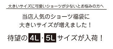 【ハピモア】綿混ショーツセット(4枚入)3L-5L福袋 レディースショーツ ショーツ 3l 5l 綿混 スタンダードショーツ レディース レディースショーツセット 女性 レース 可愛い 刺繍 スダンダード パステル 大きいサイズ ポイント消化 ハッピーバッグ 送料無料