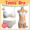 【1枚のみメール便送料130円OK】ティーンズ・ブラ&ショーツ(ワンポイント付き)