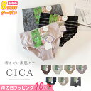 【8%OFF＆10円ラッピング】 CICA ショーツ M-3L ストレッチ まとめ買い クーポン 送料無料 レディースショーツ ショ…