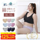 綿混 ショーツ 大きめ 4枚 選べる 3L 4L 5L コットン 送料無料 大きいサイズ レディース スタンダードショーツ 95% 女性 レース 可愛い スタン...