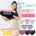 【20%OFFクーポン配布中】レディース ショーツ ストレッチ 4枚 福袋 3L 4L 5L 快適 大きい 縦横によく伸びる 送料無料 ナイロン スタンダード ...