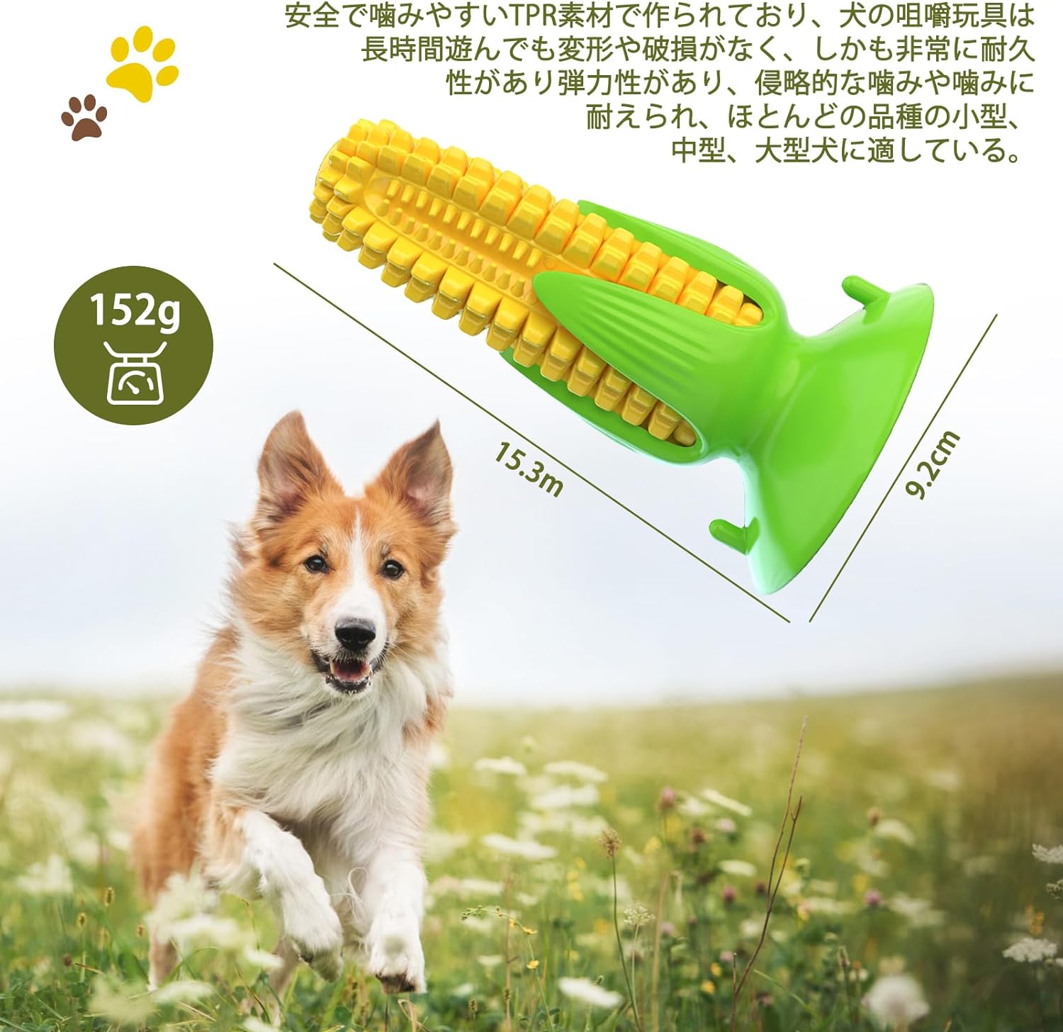 【クーポン最大1000円OFF】犬用おもちゃ 噛むおもちゃ 音の出る 丈夫 犬用歯ブラシ...