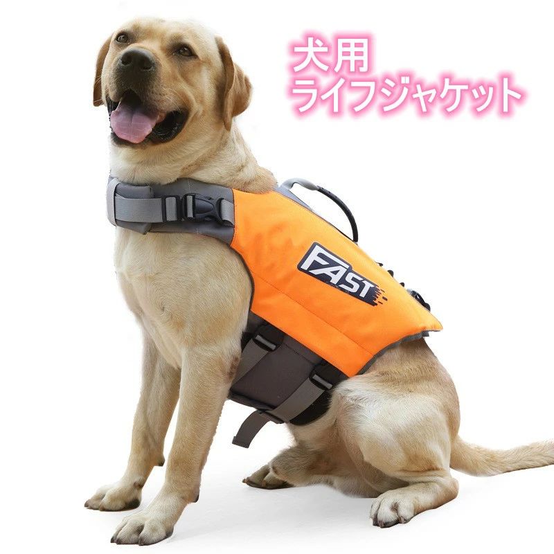 �饤�ե��㥱�å� �ڥå� ���� �饤�ե��㥱�å� �� �緿�� ��̿ƹ�� �緿�� �饤�ե��㥱�å� �ڥå��� �饤�� ���㥱�å� �����⤭��