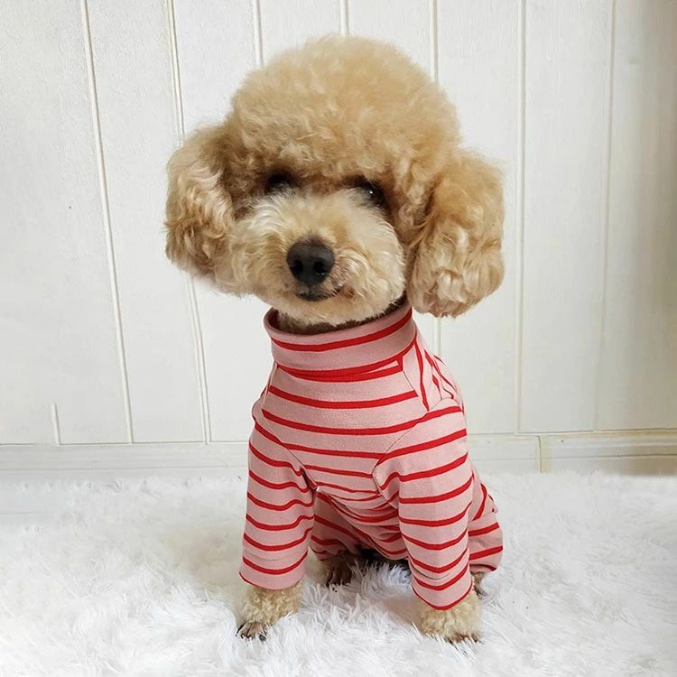 犬用 猫用 術後服 イヌネコ キャット犬猫兼用 長袖 ボーダー柄 四脚 術後服 術後着...